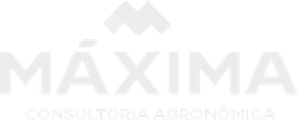 Máxima Consultoria