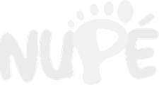 Nupé